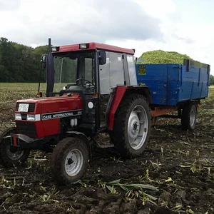 Maissilieren 2010