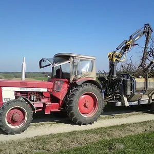 IHC 946