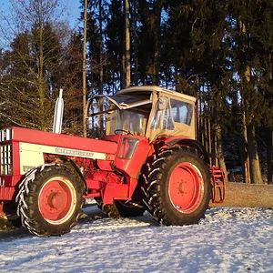 IHC 946