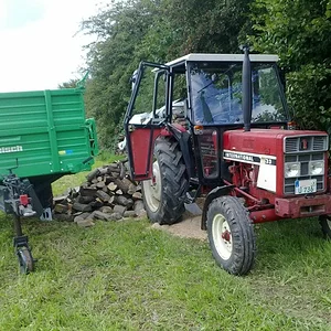 Inglorion439