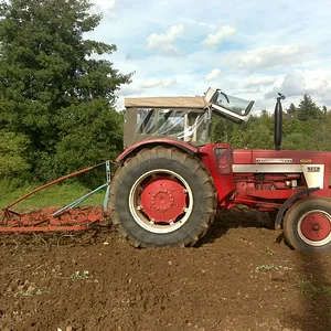 IHC 724