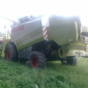 IHC 955