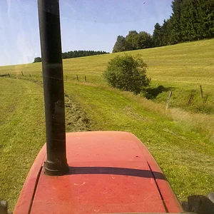 3.Schnitt