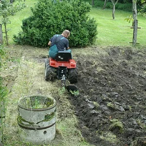 Schorsch