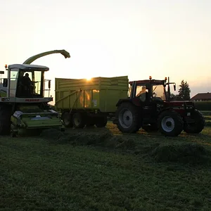 IHC824S