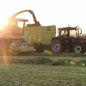 IHC824S