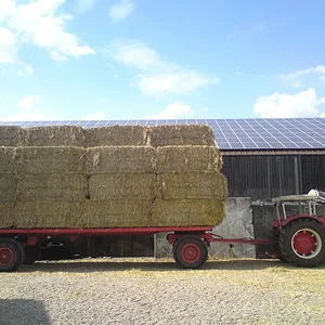Beim Strohballen holen