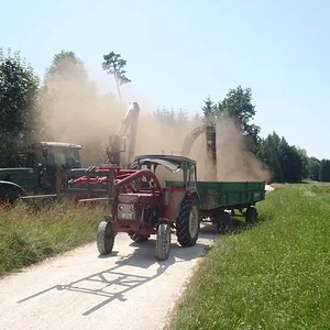 Fichtengipfel häckseln