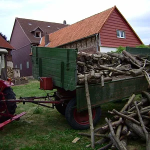 Bernd