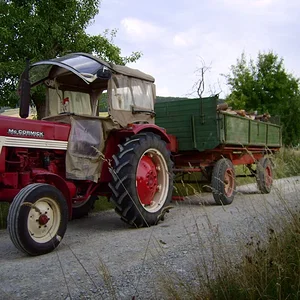 Bernd