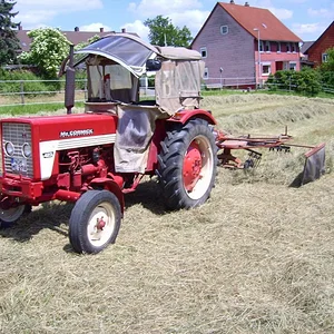 Bernd