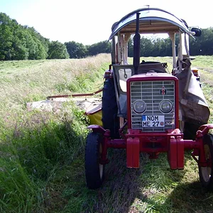 Bernd