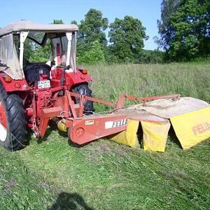 Bernd