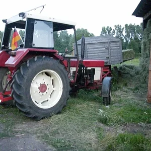HeizzerMuecke