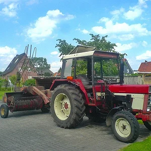 Heizzermuecke