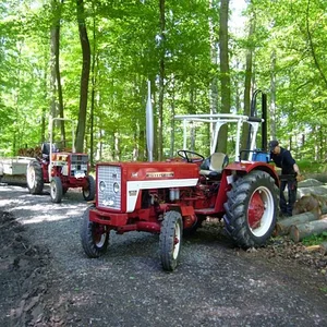 Matthias-IH353