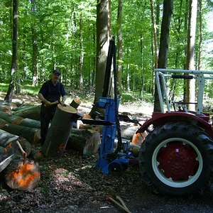Matthias-IH353