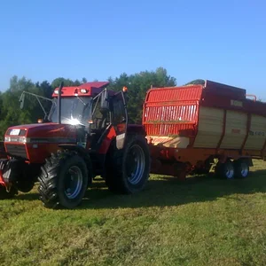 1.Schnitt 2010