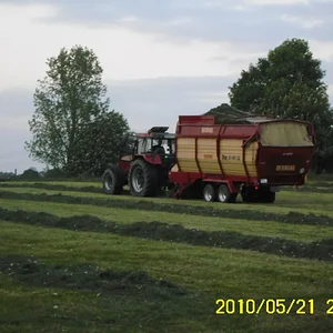 1. Schnitt 2010