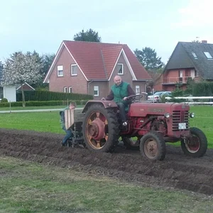 Beim Kartoffelpflanzen