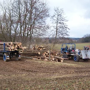 holzernte