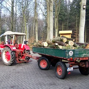 Holz holen bei der Försterei