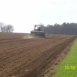 case833a