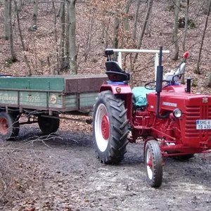 430 im Holz