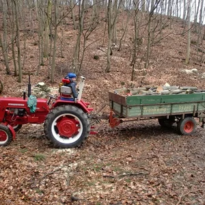 430 im Holz