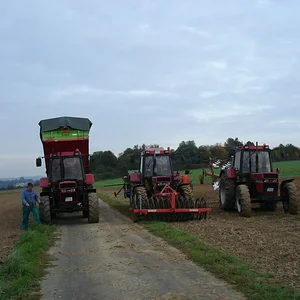 Steffen