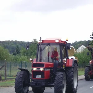steffen