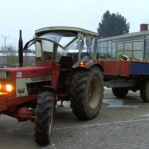 Tim Bollwerk