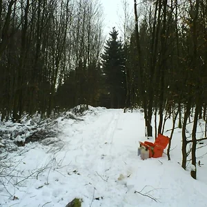 Holztransport
