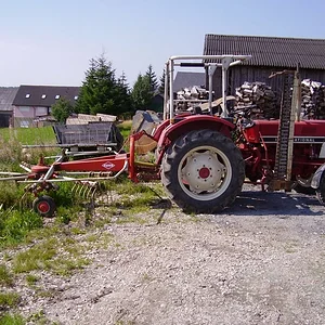 gewünschte Bilder vom 433