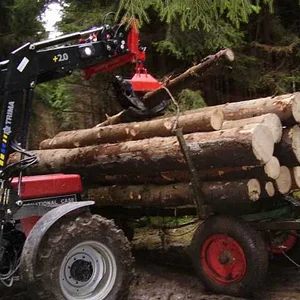 Forstarbeiten mit zwei 856 XLA