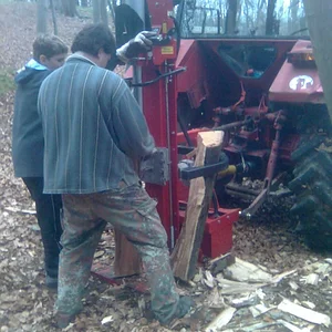 745 im Wald