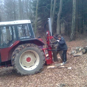745 im Wald