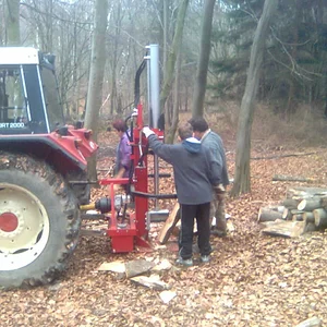 745 im Wald