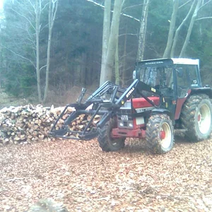 745 im Wald