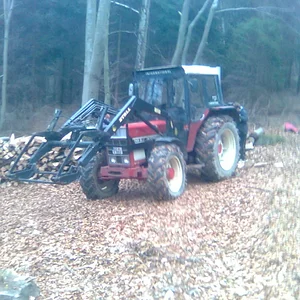 745 im Wald