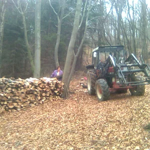 745 im Wald