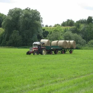 Bauerhartmann