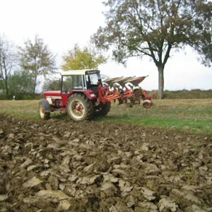 Ackern 2009