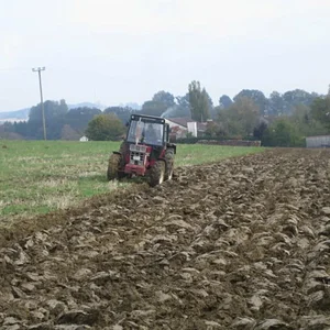 Ackern 2009