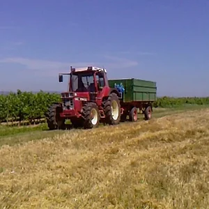 Ernte 09