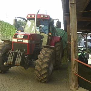 Maisernte 09