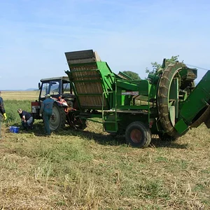Harfensnger