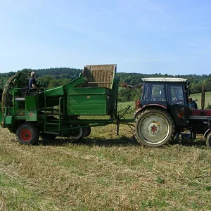 Harfensnger
