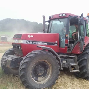 IHC 955