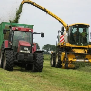 MX 170
